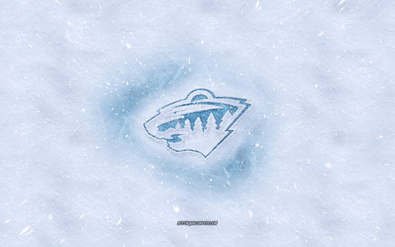 Minnesota Wild logo, American hockey club, winter concepts, NHL, Minnesota Wild ice logo, snow texture, St Paul, Minnesota, USA, snow background, Minnesota Wild, hockey, HD wallpaper