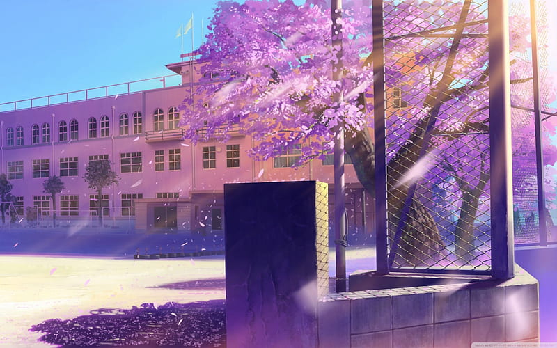 Schoolyard, school, 5 centimeters, anime, cherry blossom, HD wallpaper