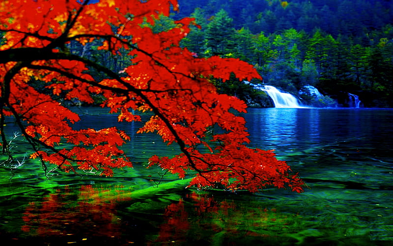 WATERFALLS, autumn, nature, pool, branch, HD wallpaper
