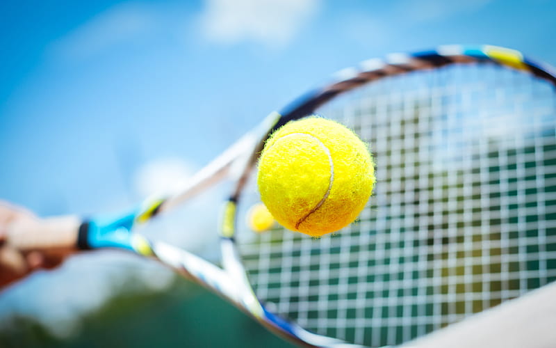 tennis yellow ball, racket, tennis, sports concepts, HD wallpaper
