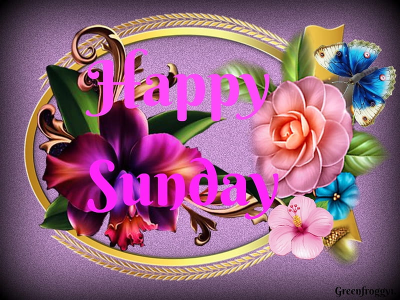 HAPPY SUNDAY, HAPPY, COMMENT, SUNDAY, CARD, HD wallpaper