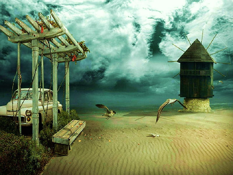 Storm on the Horizon, beach, sand, birds, clouds, sky, storm, HD wallpaper