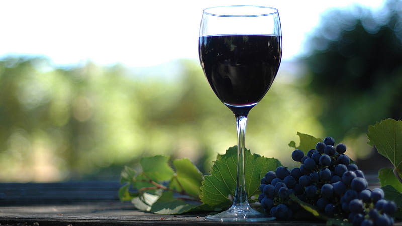 glass of wine, grape, glass, green, wine, blue, HD wallpaper