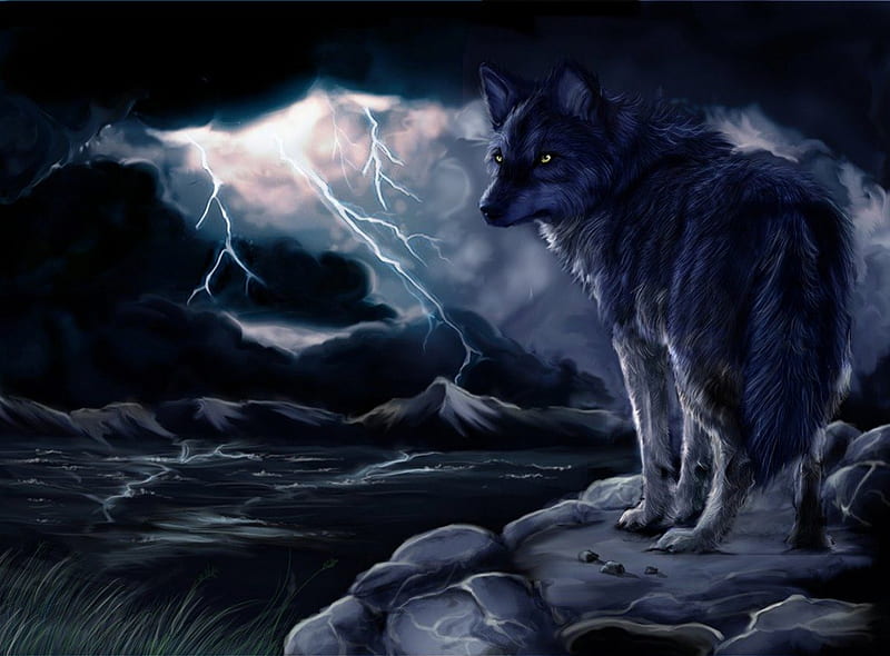 Thunder and Storm, Flash, Animal, Wolf, dark, HD wallpaper