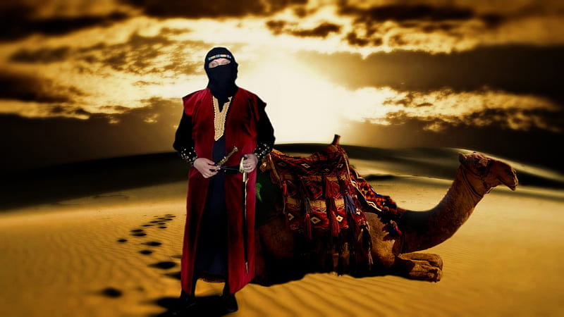 Desert Warrior, Arabian Nights, Desert, Egypt, Fantasy, Warrior, HD wallpaper