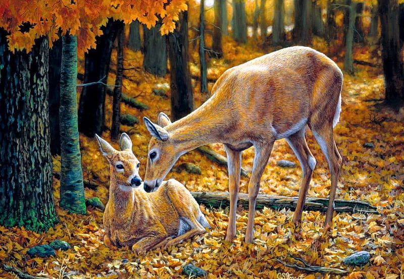 Autumn innocence, fall, family, innocence, autumn, falling, woods, bonito, carpet, mother, foliage, deer, leaves, nice, painting, child, art, forest, lovely, trees, roe, HD wallpaper