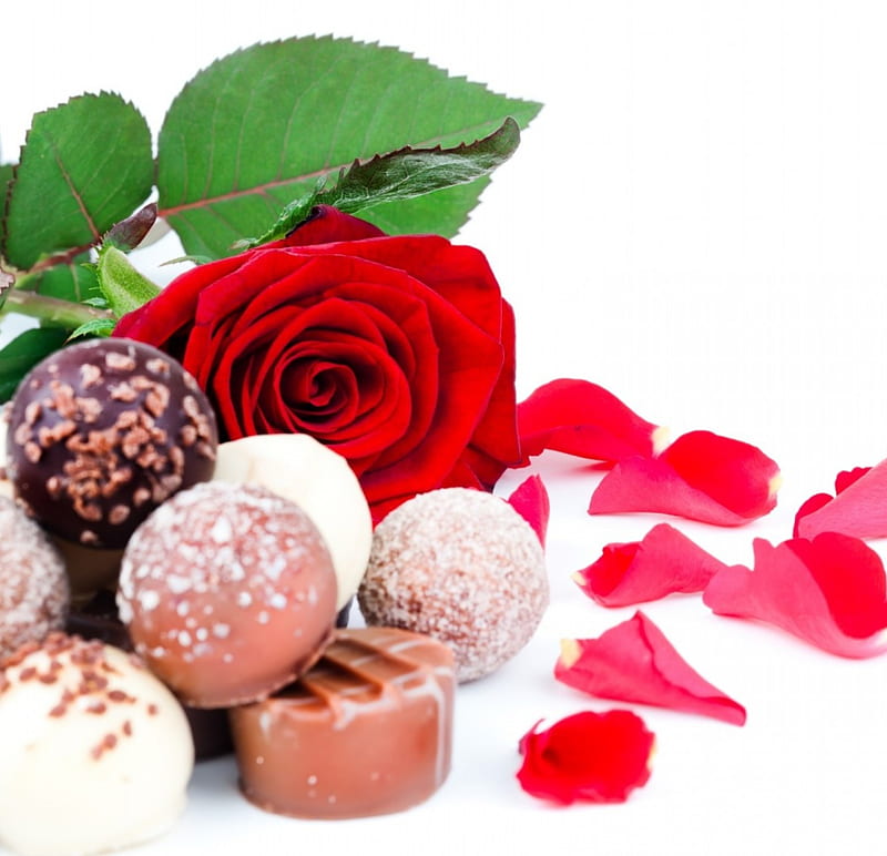 Chocolate with Rose, flower, sweets, rose, chocolate, HD wallpaper | Peakpx