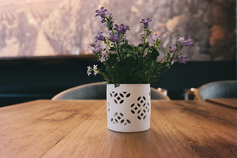purple petaled flowers in white flower vase located on brown wooden table, HD wallpaper