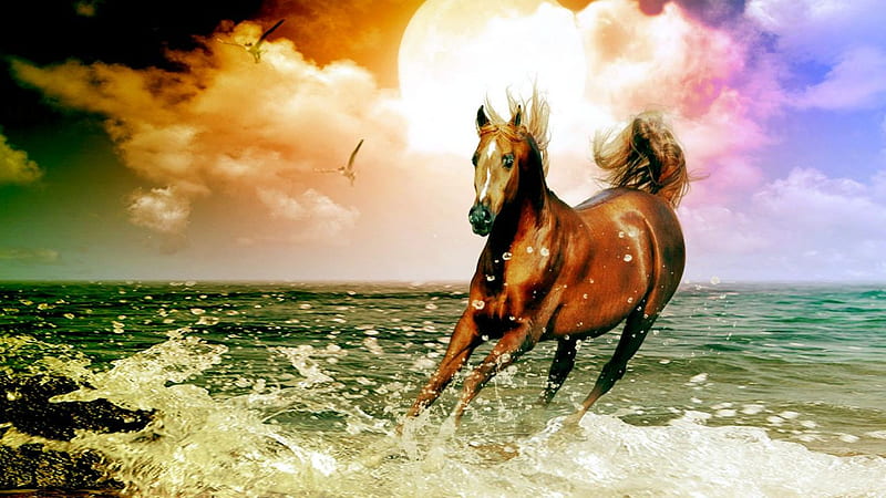 Arabian Horse, dreamy, abstarct, running, nature, horse, clouds, sea, arabian, HD wallpaper
