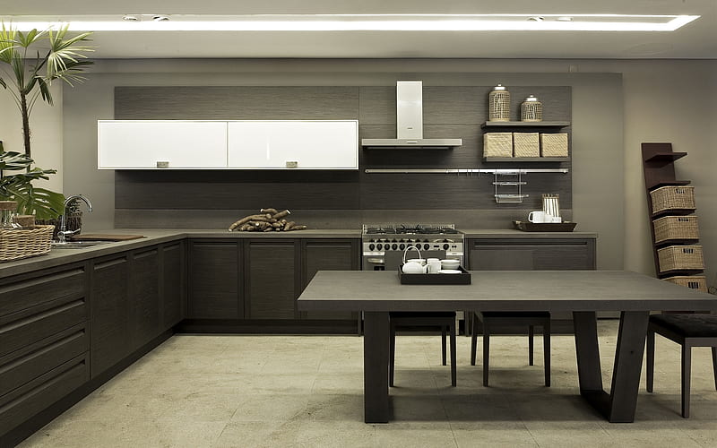 gray stylish kitchen, modern interior design, kitchen, gray kitchen accessories, modern stylish interior, HD wallpaper