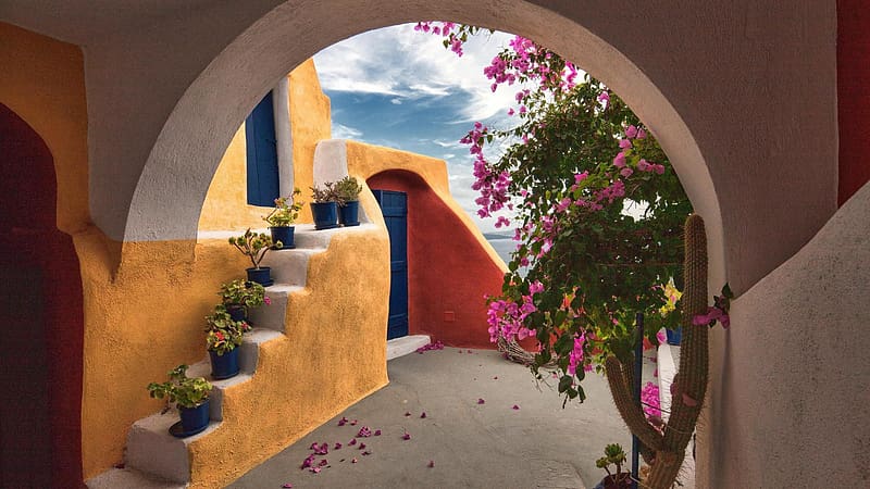 Architecture, Bush, Plant, House, Arch, Door, Greece, Santorini, , Pink Flower, HD wallpaper