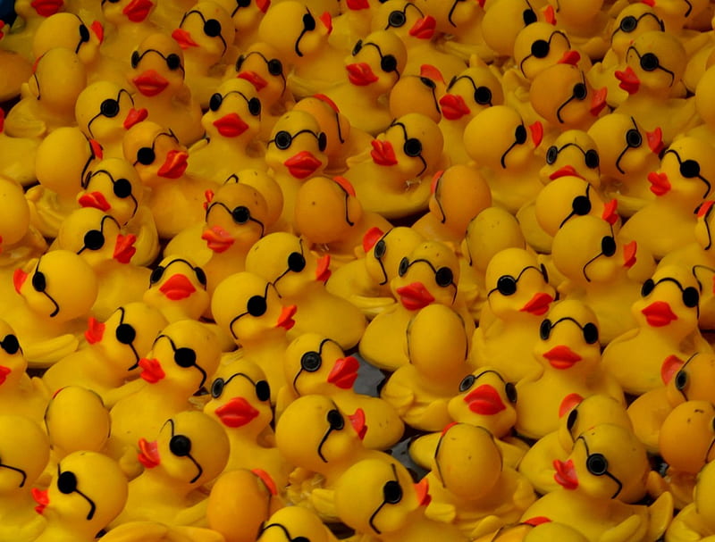A Barrel of rubber duckies, rubber duckies, rubber ducks, duckies, HD wallpaper