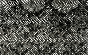 HD snake skin textures wallpapers