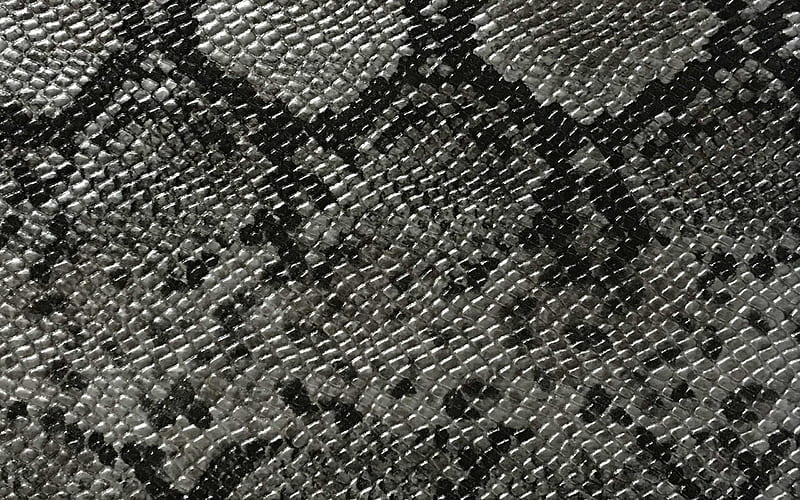 HD snake skin textures wallpapers | Peakpx