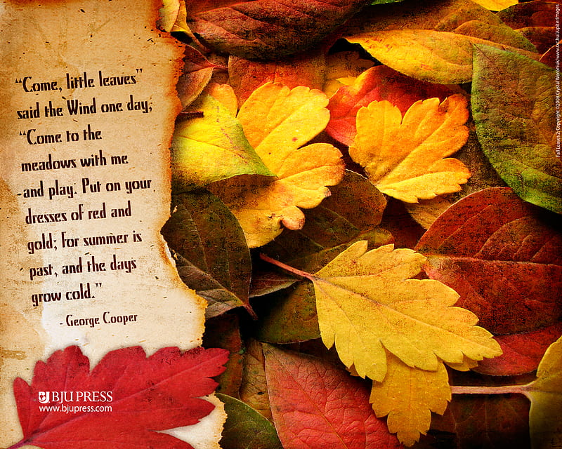 Autumn Leaves, fall, leaves, poem, golden, HD wallpaper | Peakpx