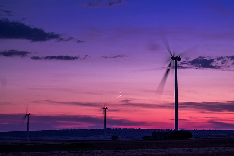 Premium Vector  Minimalist mobile wallpaper with wind turbines and trees  with a sunset