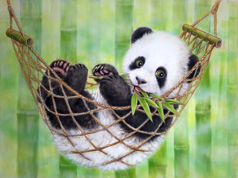 Cute panda in hammock, pretty, little, bear, bonito, adorable, hammock,  small, HD wallpaper | Peakpx