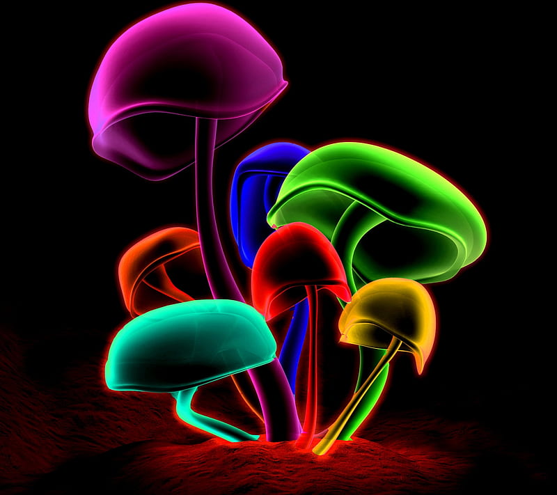 Mushrooms, abstract, multicolor, HD wallpaper