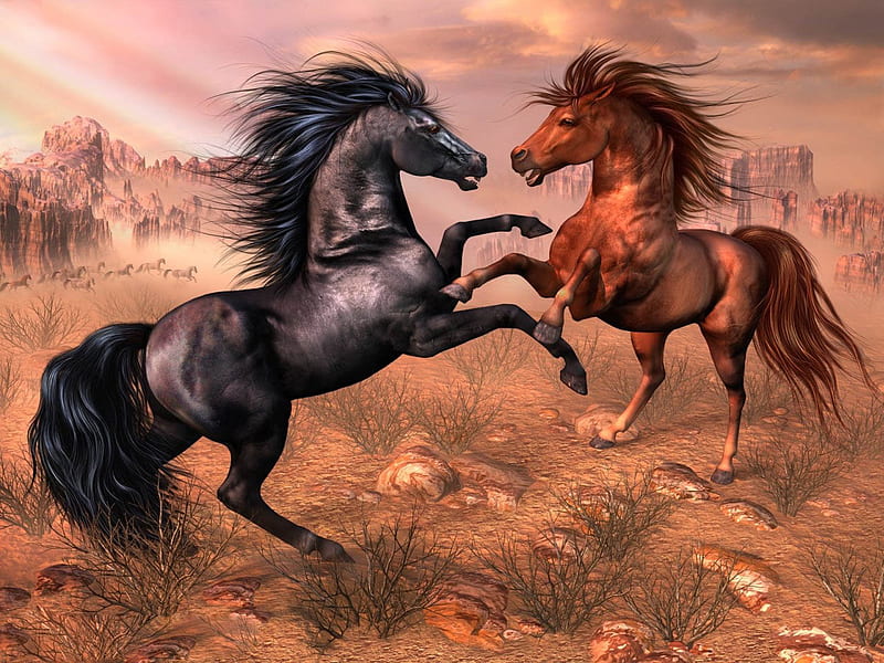 Arabian Horses, stallion, cavalo, horse, animals, HD wallpaper | Peakpx