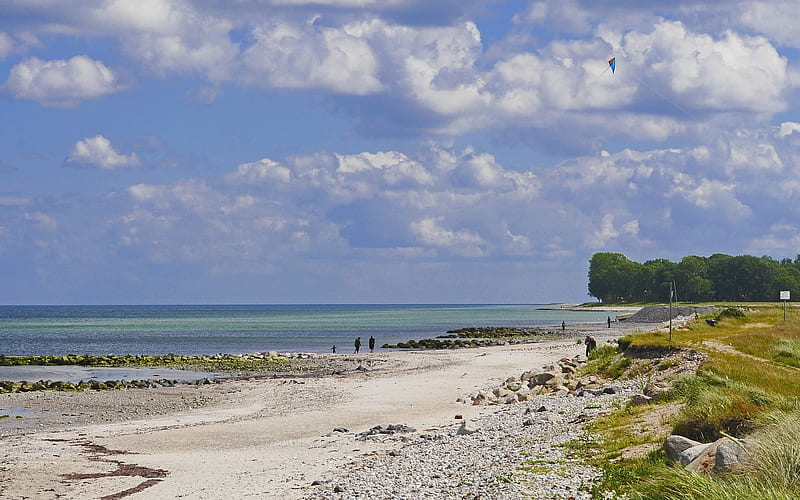 Beach of Baltic Sea, beach, kite, clouds, sea, HD wallpaper