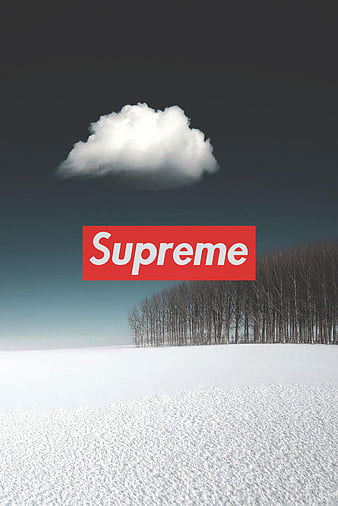 SUPREME, white, oso panda, parisred, HD phone wallpaper