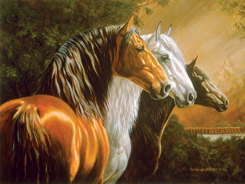 Los Tres - Horses F2Cmp, art, three, equine, black, horses, susan von borstal, stallion, von borstal, painting, gris, white, bay, HD wallpaper
