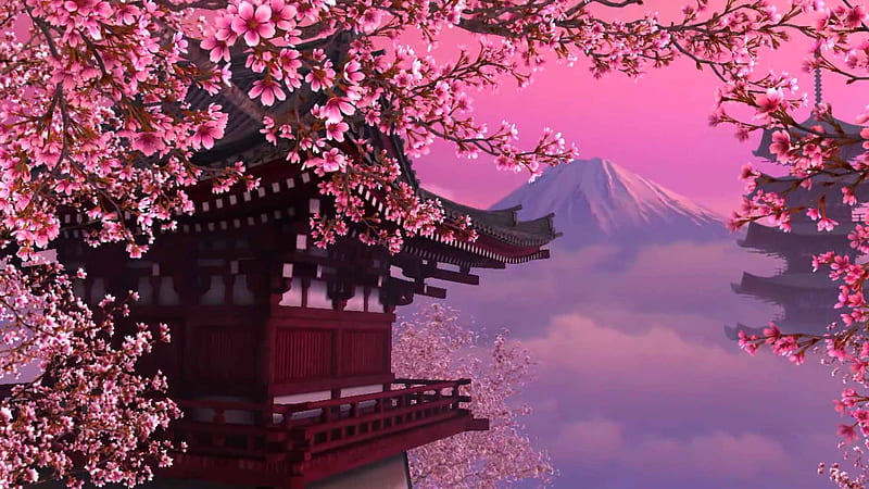 Enjoy the collection of beautiful cherry blossoms, Samurai Cherry Blossom, HD wallpaper