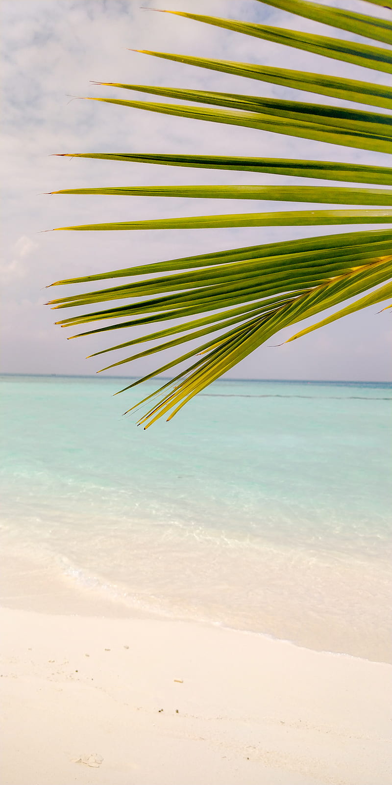 Maldives, sunny, romantic, love, ocean, blue, crystal, clean, pure, honeymoon, HD phone wallpaper
