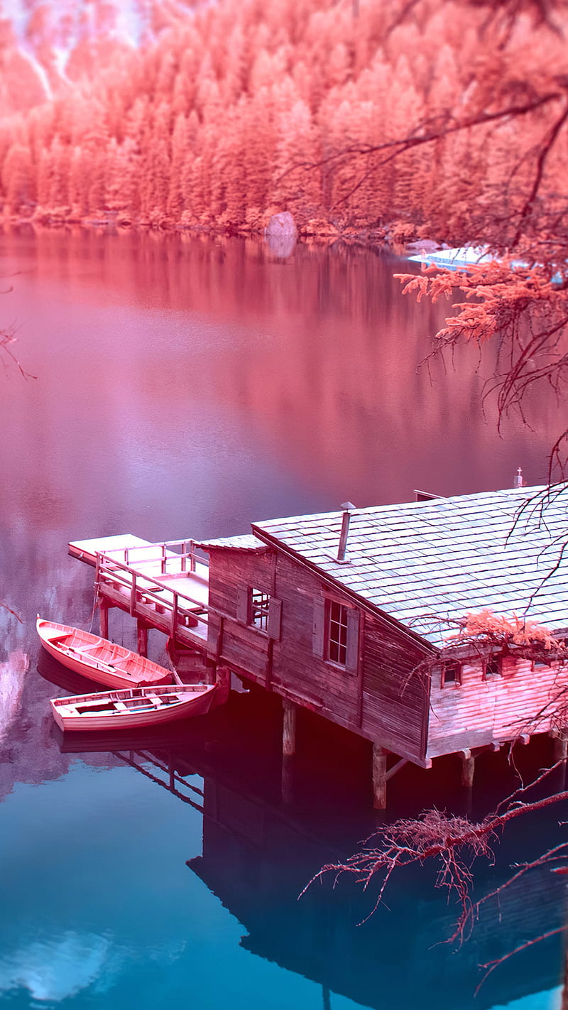 Season , autumn, nature, boat, lake, pink, tree, HD phone wallpaper