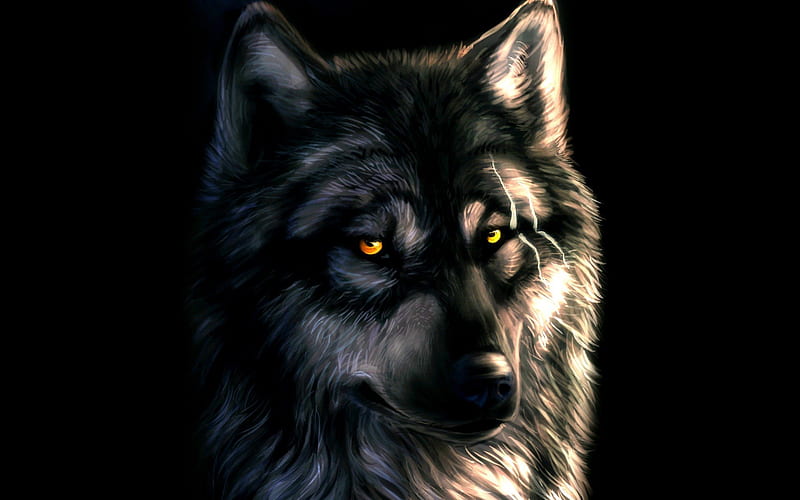 Wolf Fantasy, predator, dark, yellow, portrait, eyes, HD wallpaper