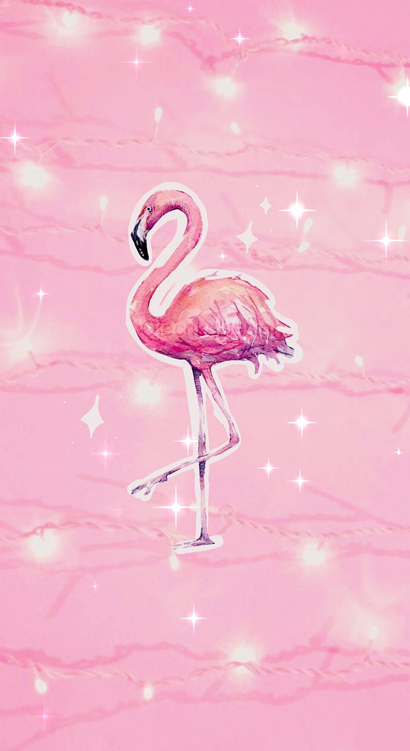 Flamingo, aethistic, butterflies, fish, love, pink, HD phone wallpaper