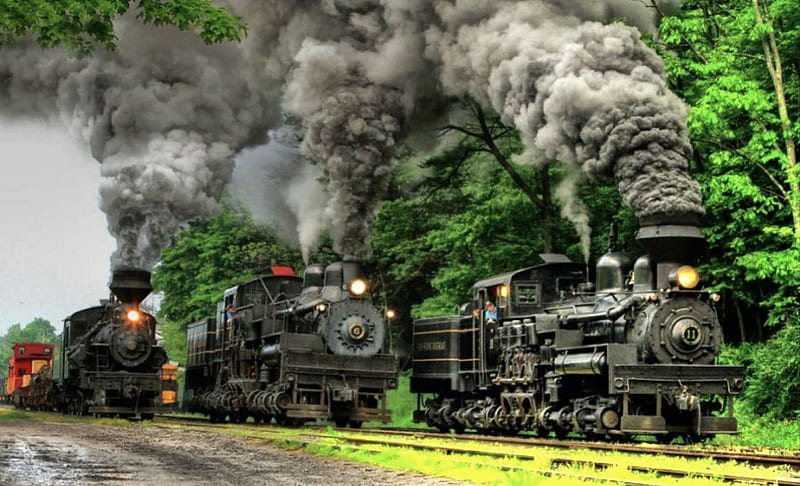 Steam Locomotives, forest, locomotive, steam, old, HD wallpaper