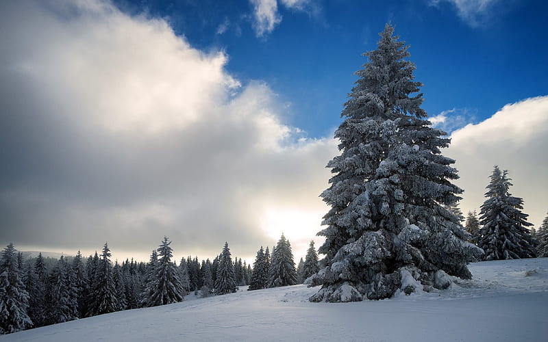 winter, snow, mountains, sky, clouds, winter landscape, HD wallpaper
