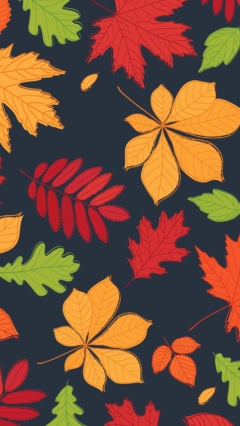 Fall, leaves, HD phone wallpaper