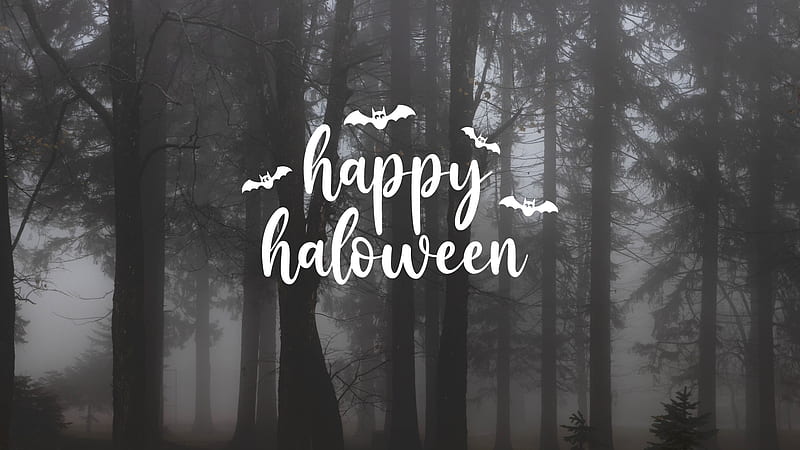 Halloween Aesthetic Background ( ) - Nikki's Plate, Black Halloween, HD ...