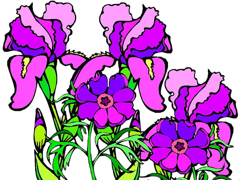 Iris & pasque, purple, green, desenho, flowers, white, pink, HD wallpaper