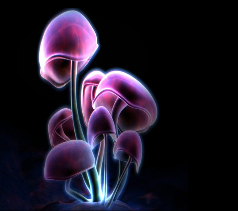 Pink mushroom, mushroom, pink, neon, purple, HD wallpaper