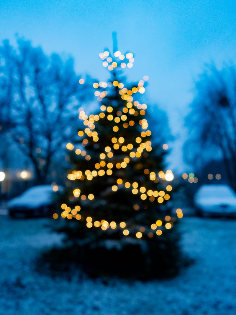 Christmas Tree, HD Phone Wallpaper | Peakpx