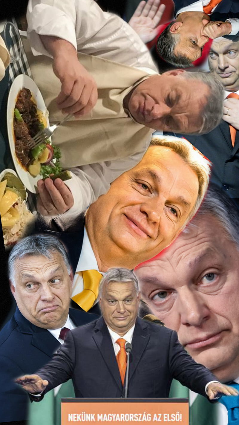 Hungary, fidesz, politician, prime minister, HD phone wallpaper