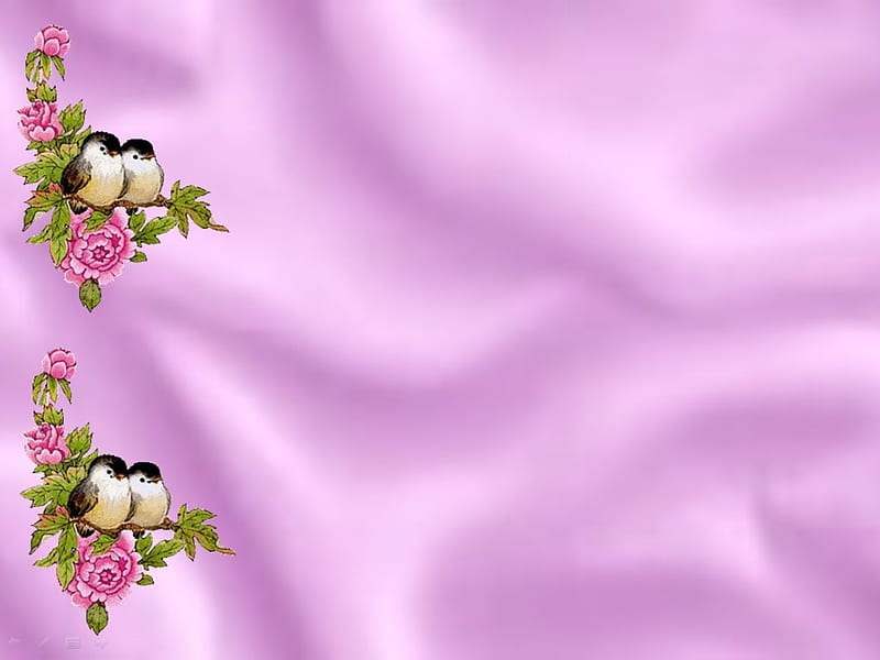 Bird border, border, purple, bird, HD wallpaper | Peakpx