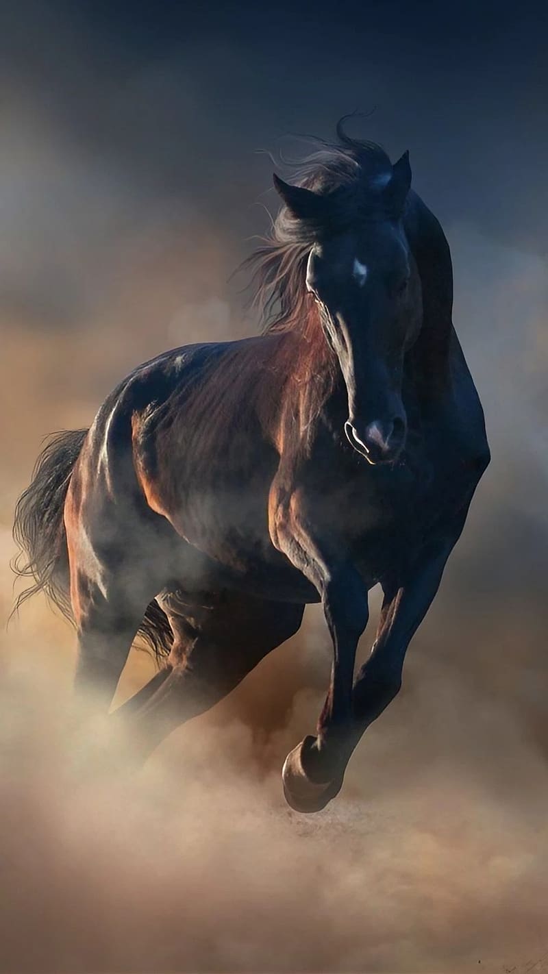 Running Horse Mobile, Smoky Effect, black horse, HD phone wallpaper