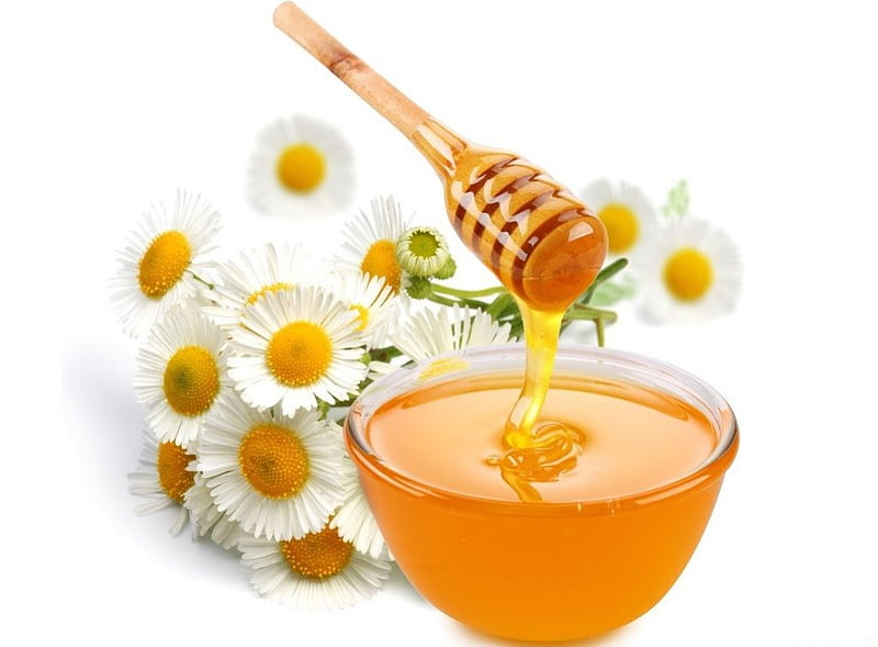LITTLE HONEY POT, daisies, honey, servings, healthy, flowers, yellow, sweetness, bowls, HD wallpaper