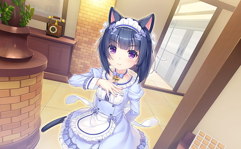 minazuki shigure, nekopara, animal ears, visual novel, loli, maid outfit, Anime, HD wallpaper