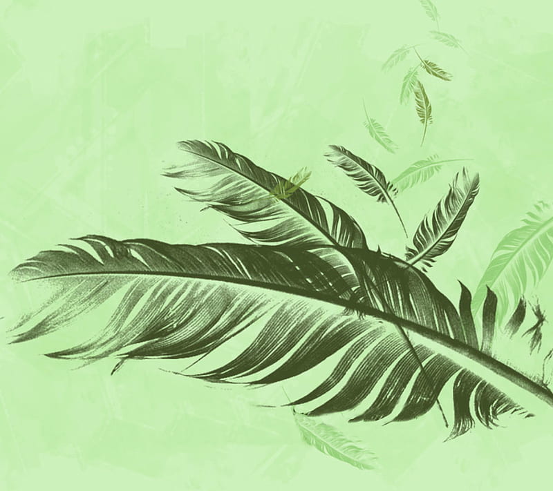 Feathers, feather, green, HD wallpaper