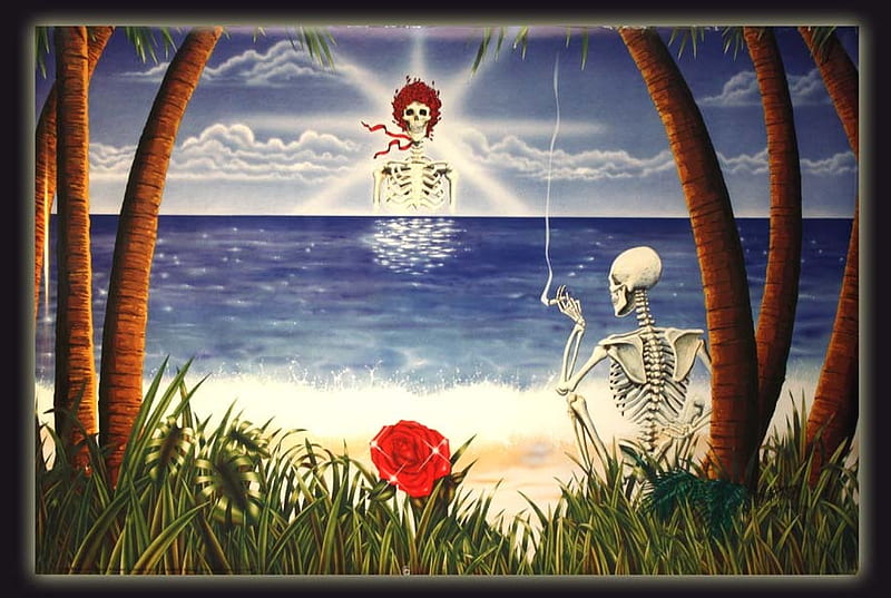 Sunshine Daydream, skeleton, grass, rose, music, palm trees, sea, sand, grateful dead, entertainment, album cover, HD wallpaper