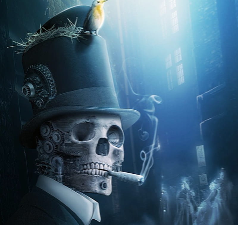 Death, Steampunk, Skeletons, Skull, Hat, Bird, HD wallpaper