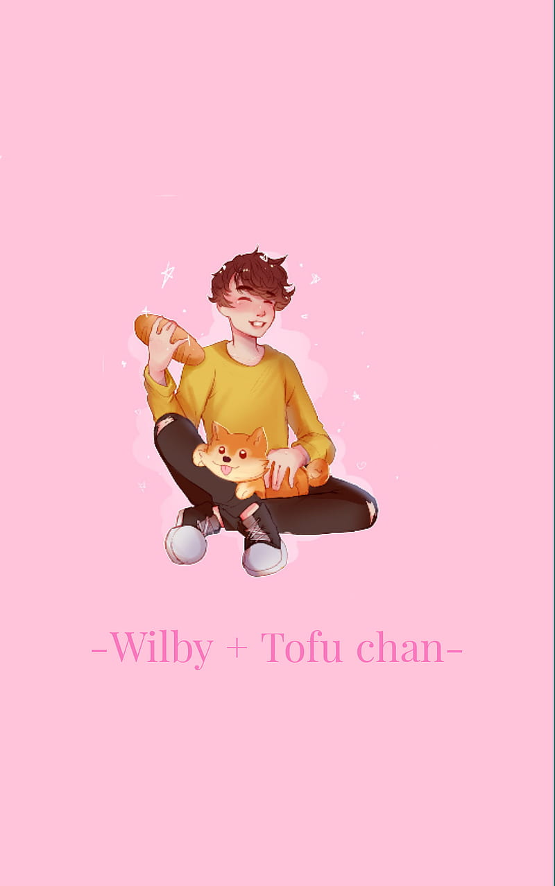 Wilby, dream smp, tofu chan, wilbur soot, HD phone wallpaper