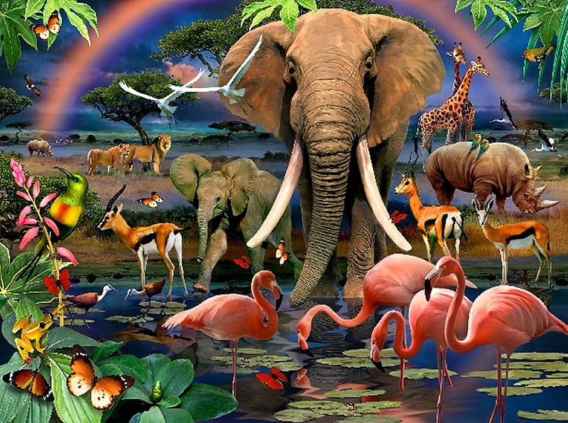 By Howard Robinson, art, elephant, rainbow, animal, butterfly, bird, painting, giraffe, howard robinson, HD wallpaper