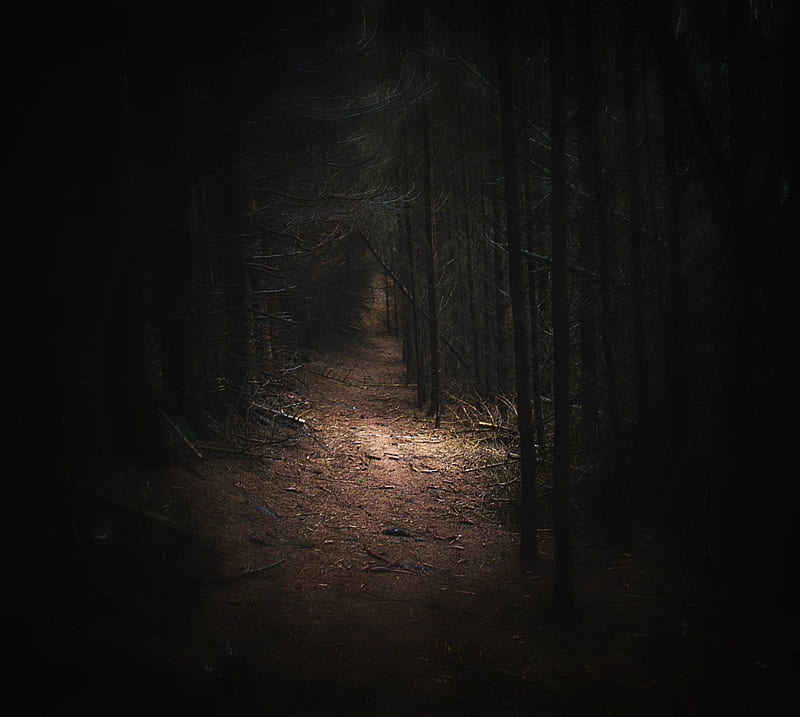 A scary path, creepy, dark, eerie, gloomy, trees, woods, HD wallpaper |  Peakpx