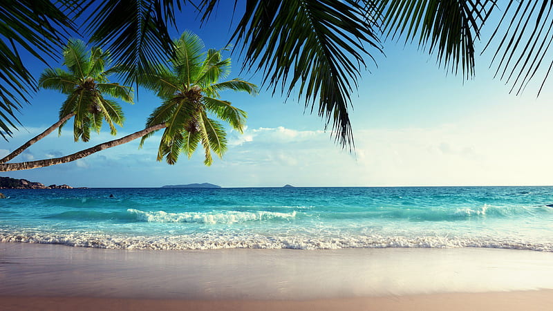 Beautiful Sea Waves And Slanting Coconut Trees Beach, HD wallpaper